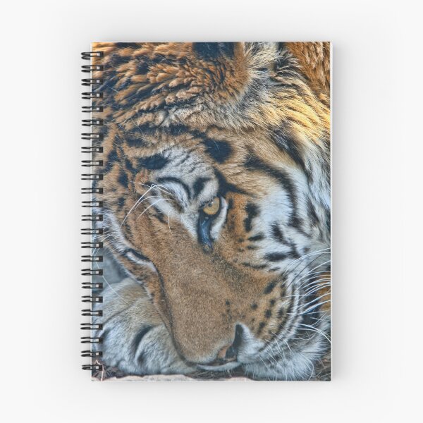 Item preview, Napping Tiger designed and sold by GPMPhotography.