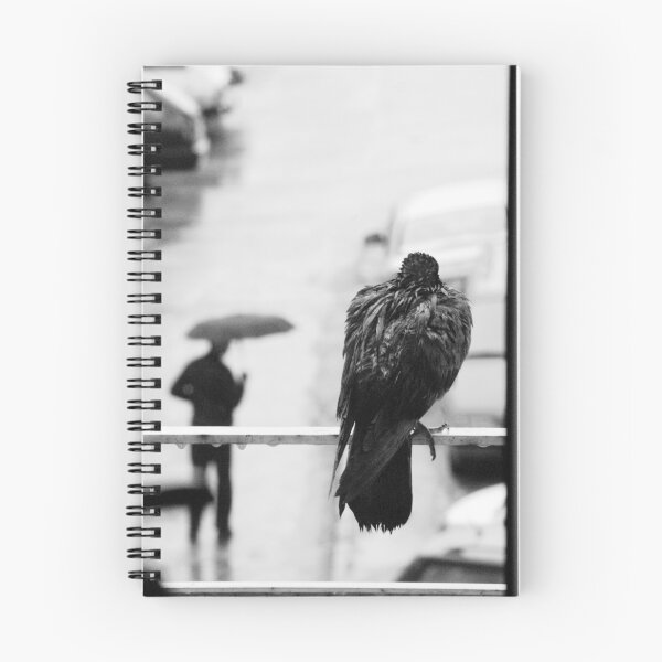Item preview, OnePhotoPerDay series: 087 by C. designed and sold by C. & L. | Photography & Artworks.