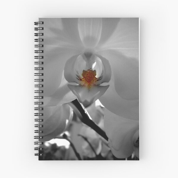 Item preview, Orchid designed and sold by Josephine Pugh.
