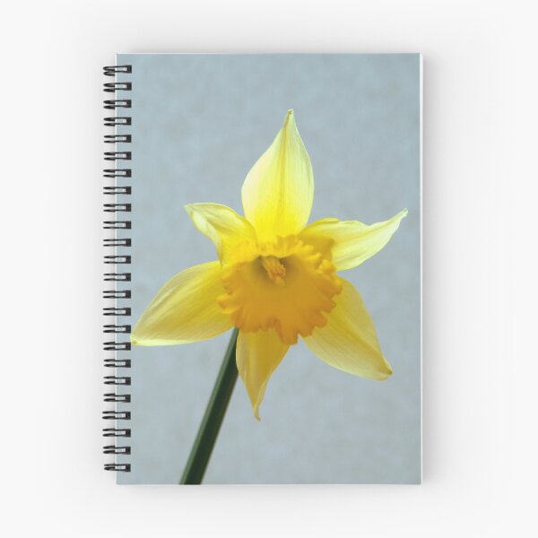 Item preview, Daffodil designed and sold by JEZ22.