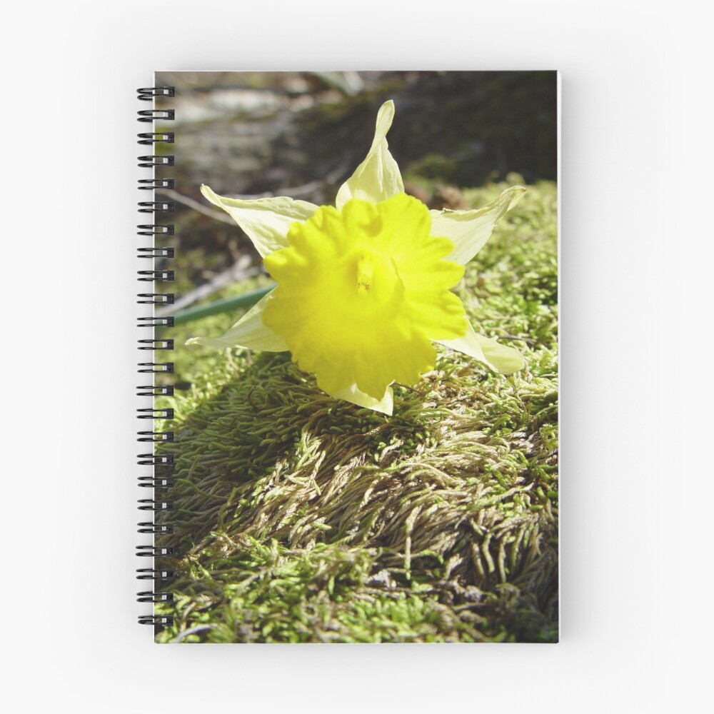 Vista previa del artículo con la obra «Cuaderno de espiral», diseñado y vendido por RealPainter.