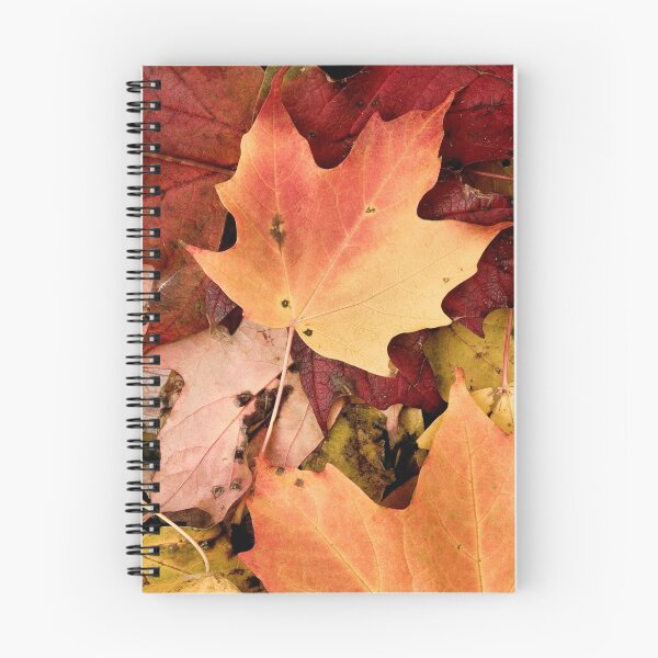 Item preview, Fall leaves in downtown , Toronto , Canada designed and sold by alopezc72.