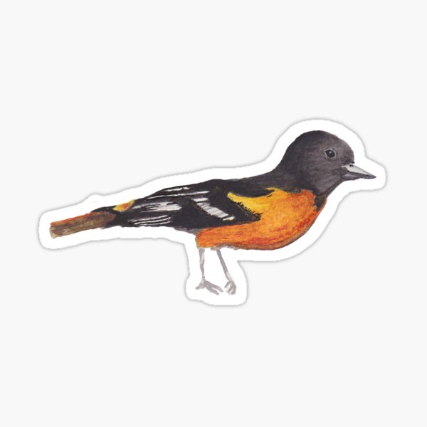 Item preview, Watercolor Baltimore Oriole designed and sold by kflag.