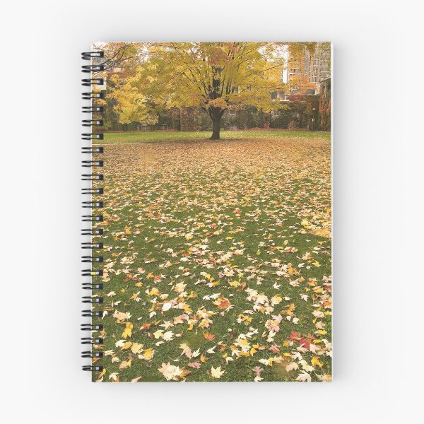 Item preview, Ground covered with Autumn leaves , Toronto , Canada designed and sold by alopezc72.