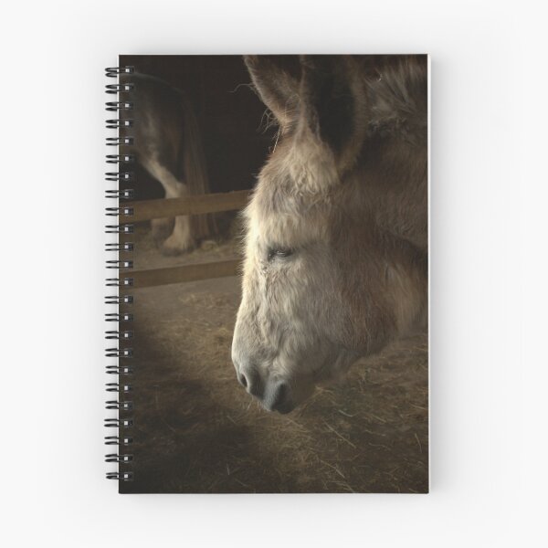 Item preview, Old Master designed and sold by John Thurgood.