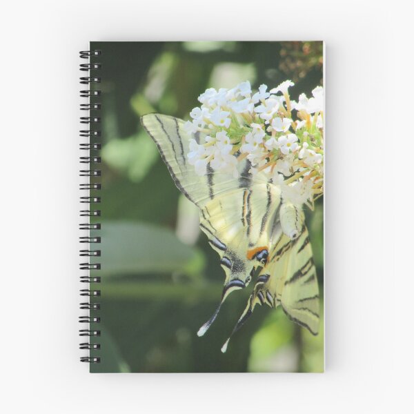 Item preview, Mariposa en una flor de hortensia en verano designed and sold by IMJones.