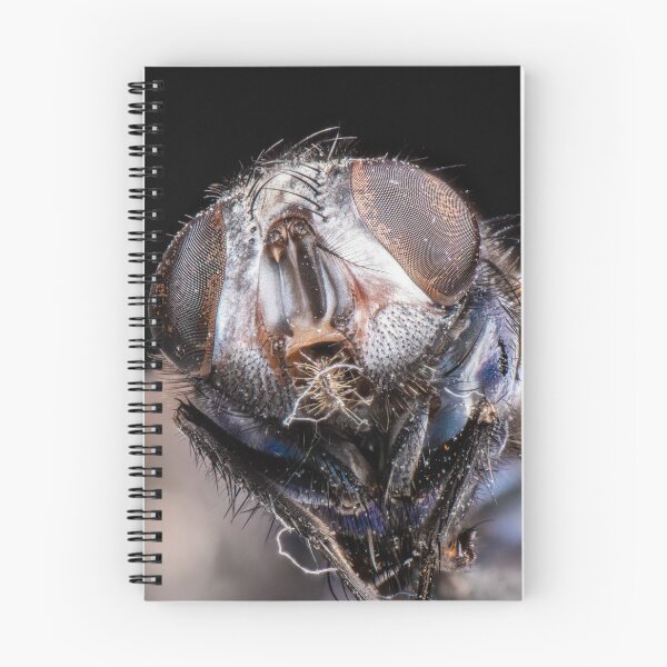 Item preview, The Fly 1 designed and sold by boingti.