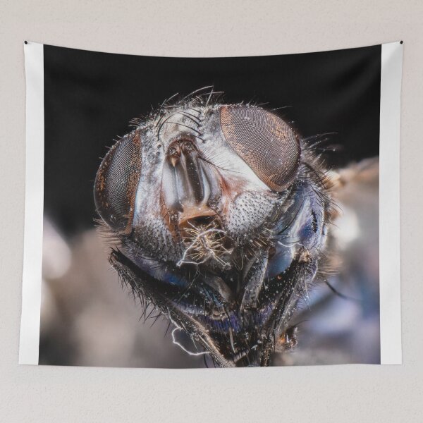 Item preview, The Fly 1 designed and sold by boingti.