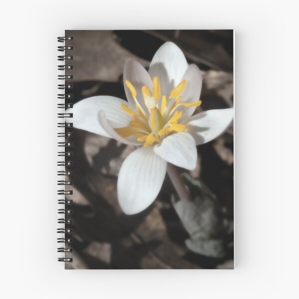 Item preview, Wildflower - Blood Root designed and sold by JThill.