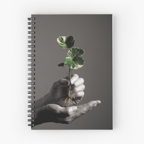 Item preview, Young tree designed and sold by LAURANCE RICHARDSON.