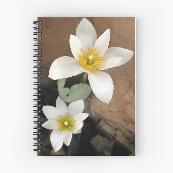 Item preview, How Redmen Got Their Name (1st GARDEN FLOWER This Year) designed and sold by Carla Wick/Jandelle Petters.