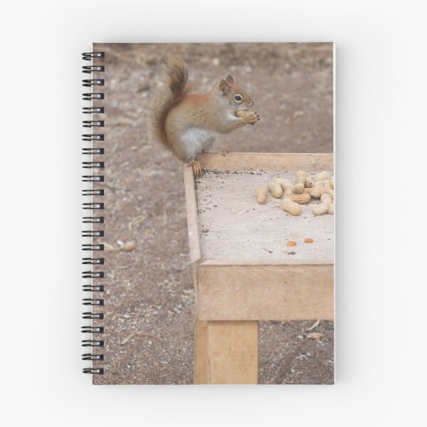 Item preview, Filling up on some nuts designed and sold by Josef Pittner.