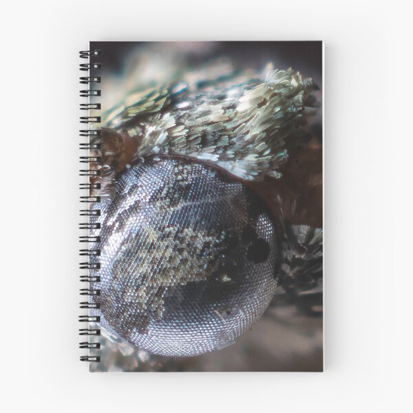 Item preview, The eye. designed and sold by boingti.