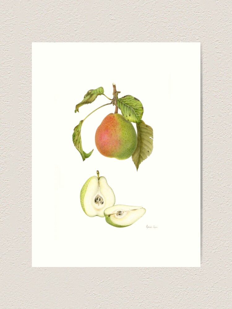 Alternate view of Forelle Pear Art Print