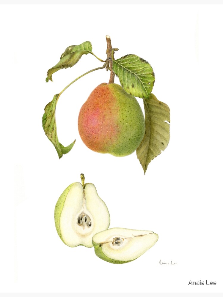 Forelle Pear by anaislee
