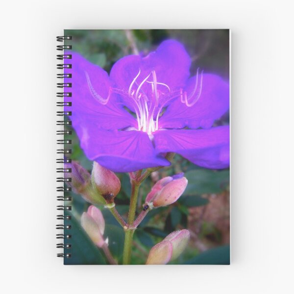 Artikelvorschau, Purple Glow. entworfen und verkauft von Gabrielle  Hope.