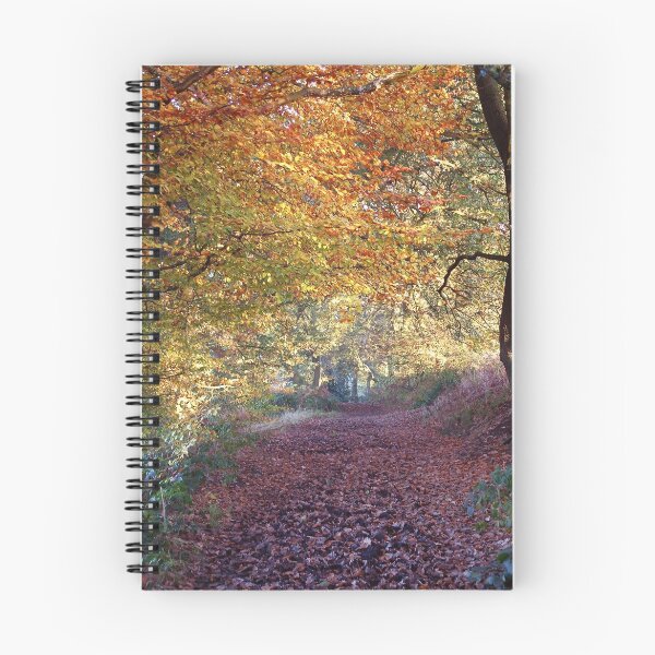 Item preview, Autumn Avenue designed and sold by John Keates.
