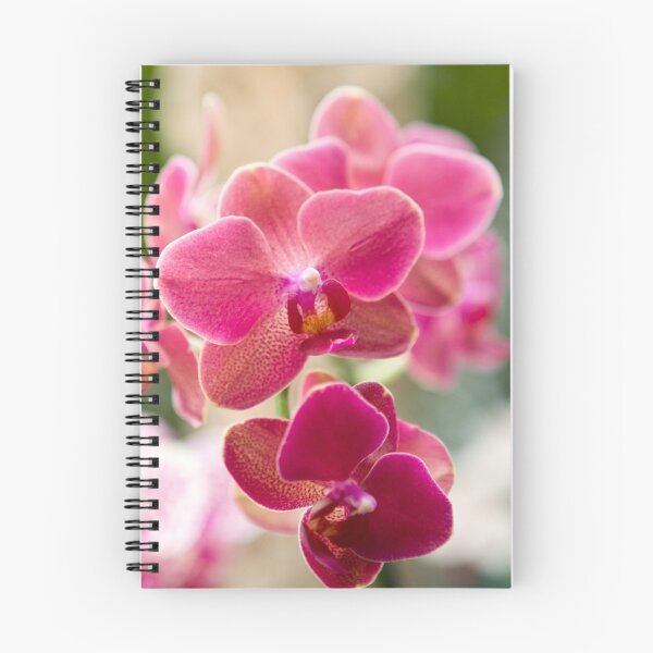 Item preview, Orchid Filtered Light designed and sold by ElyseFradkin.