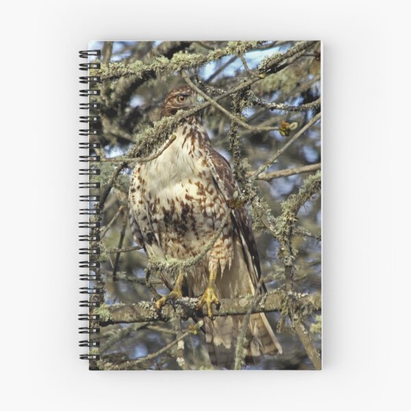 Artikelvorschau, One Mad Red-Tailed Hawk Hiding & Watching Me  entworfen und verkauft von Chuck Gardner.