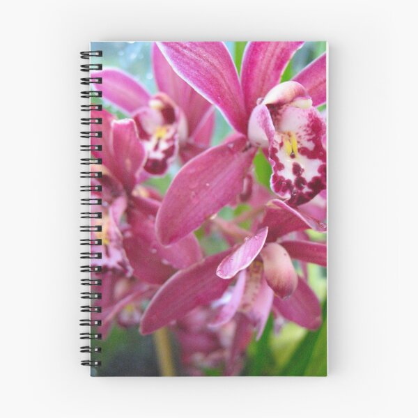 Aperçu de l'œuvre Orchids Tete a Tete créée et vendue par MarianBendeth.