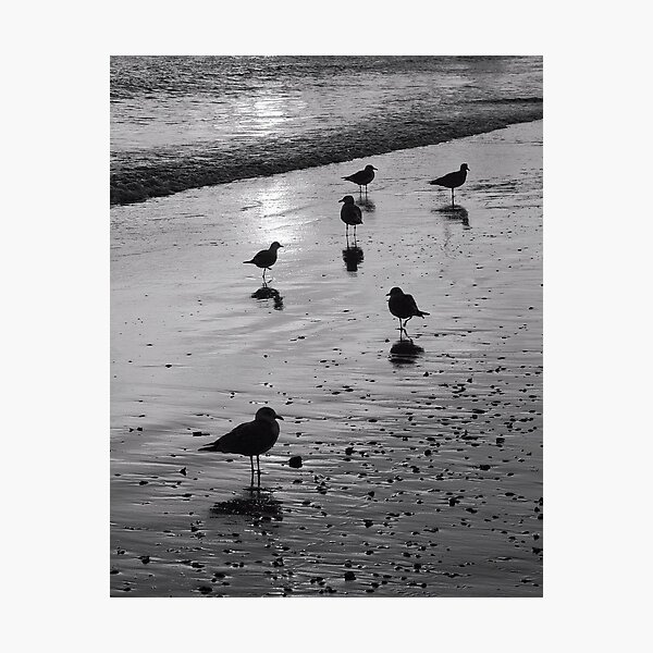 Item preview, Beach gathering designed and sold by Jean-Pierre Ducondi.