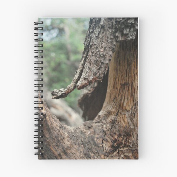 Item preview, Tree Bark designed and sold by Alan Brazzel.