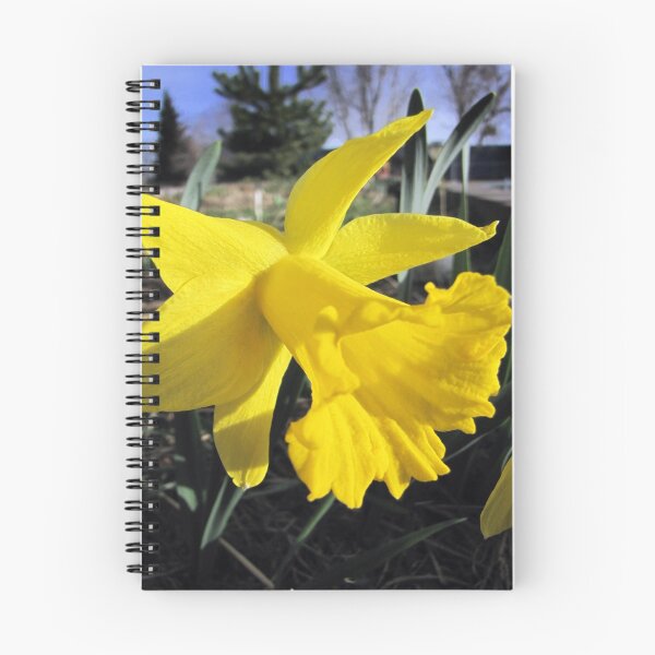 Item preview, Daffodil designed and sold by David D. Shaw.