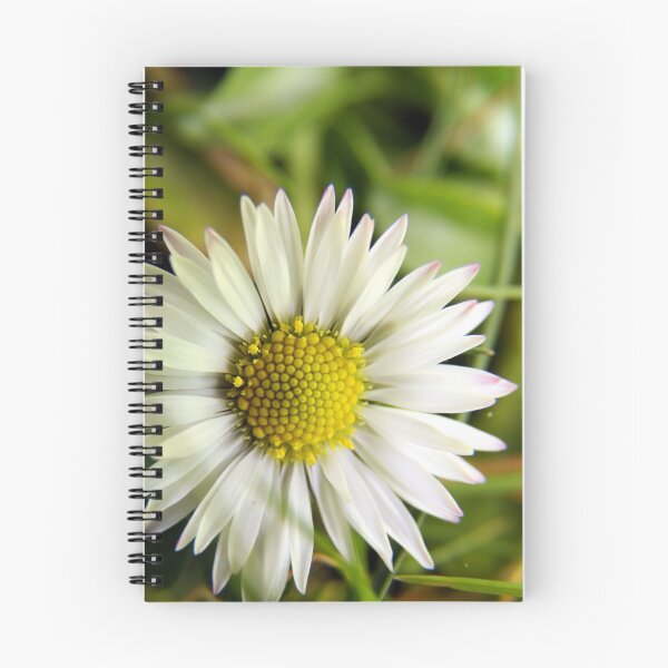 Item preview, Daisy, Daisy... designed and sold by Innpictime.