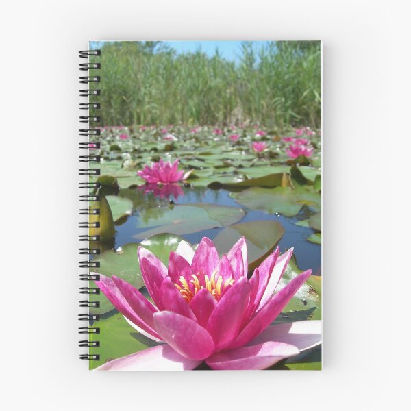 Item preview, Water lilies in a summer pond designed and sold by Michael Brewer.