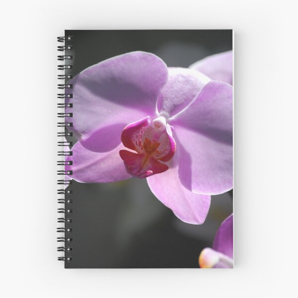 Item preview, Orchid sunning designed and sold by Sunshinesmile83.