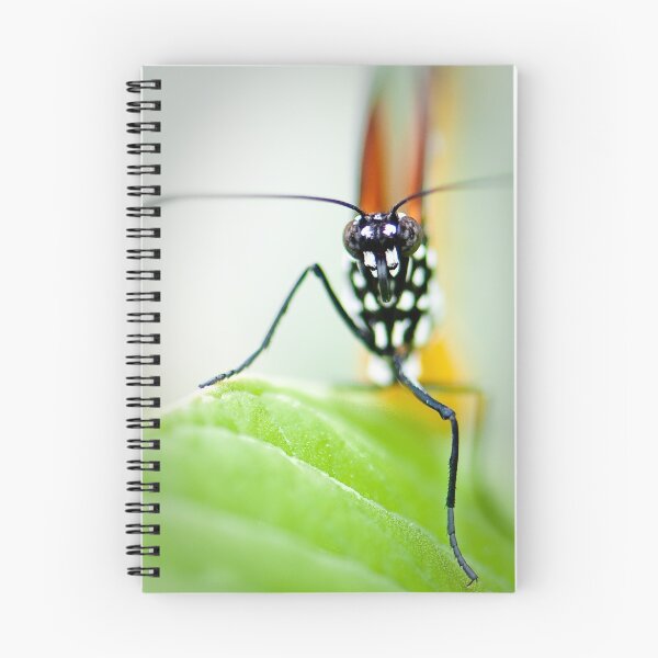Item preview, Are You Looking At Me? designed and sold by Jacinthe Brault.
