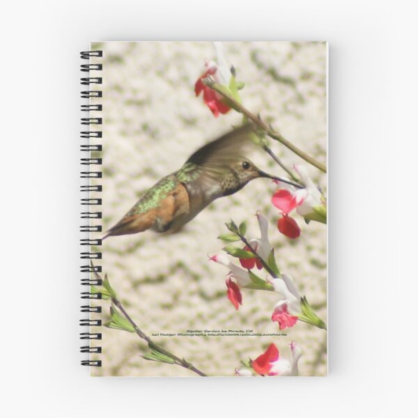 Item preview, Hummingbird; Aguilar Garden, La Mirada, CA USA designed and sold by leih2008.