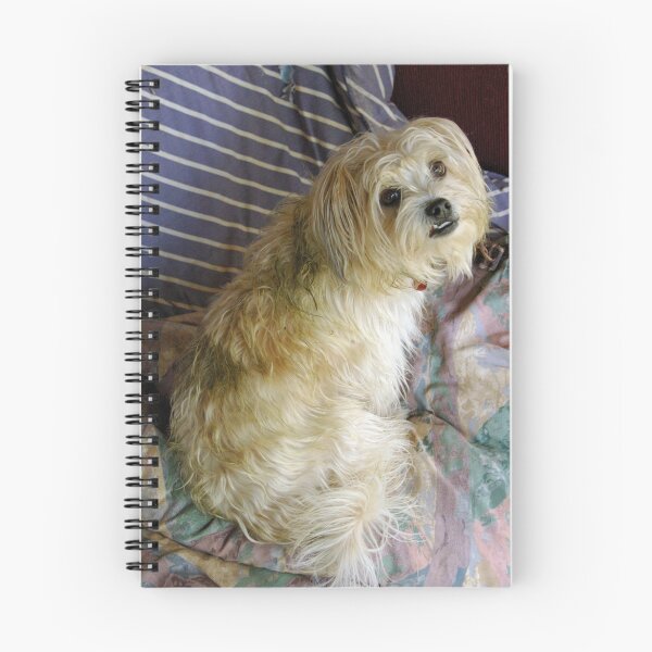 Item preview, DOGGIE DELIGHT DISGRACE designed and sold by Helen Akerstrom Photography.
