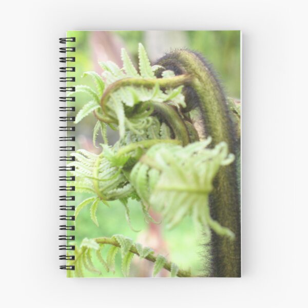 Item preview, Hapu'u Fiddlehead designed and sold by ronholiday.