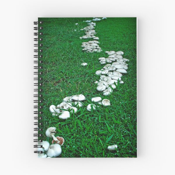 Item preview, Mushroom Stream designed and sold by Tim  Geraghty-Groves.