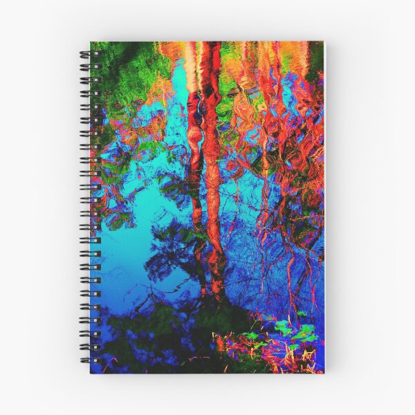 Item preview, transfiguration designed and sold by Joseph Valcourt.