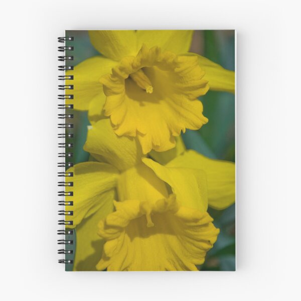 Item preview, Pair of daffodils  designed and sold by Michael Brewer.