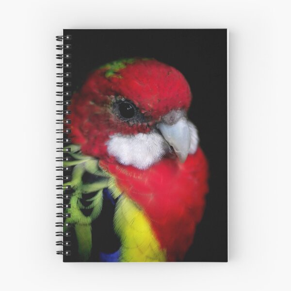 Item preview, Eastern Rosella designed and sold by Tamara  Kenneally.