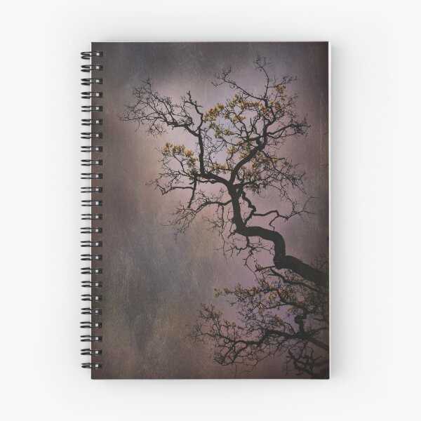 Item preview, Take It To The Limit designed and sold by Laurie Search Fine Art Photography.