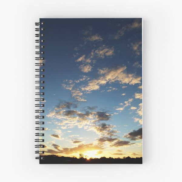 Item preview.