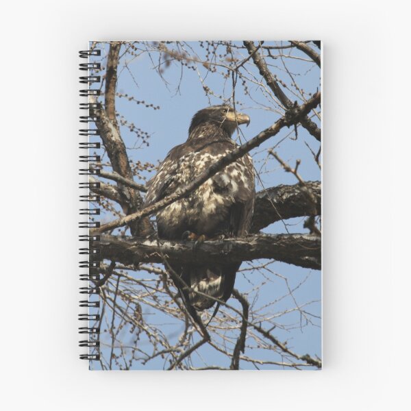 Item preview, Bald Eagle 2 designed and sold by Santa Tom Kliner.