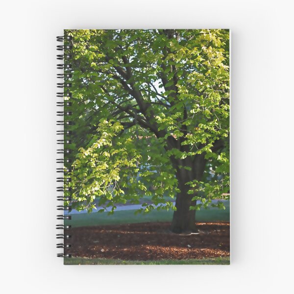 Artikelvorschau, Elm Tree entworfen und verkauft von Aleksander.