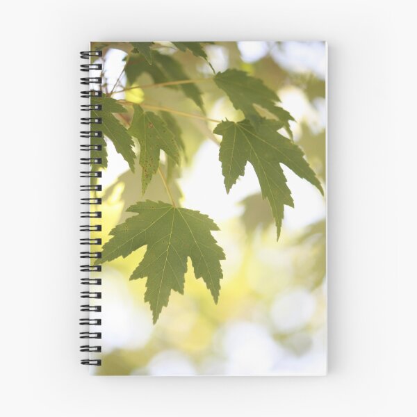 Artikelvorschau, Maple entworfen und verkauft von Sazzyshortness.