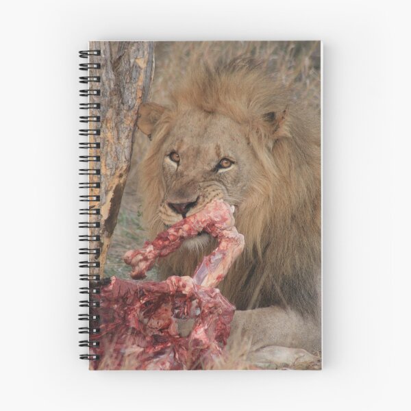 Item preview, Lion's dinner designed and sold by Lauren Banks.