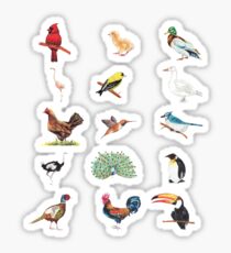 Birds Sticker