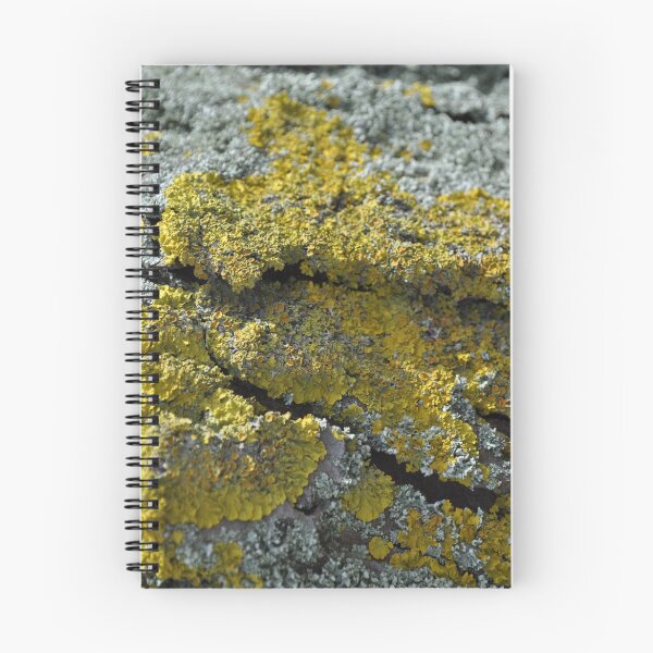 Item preview, Lichen Landscape / Silver & Gold ~ 2010 designed and sold by SCreary.