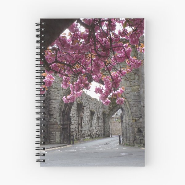 Item preview, Cherry Blossoms at St Andrews designed and sold by Lexi Robinson.
