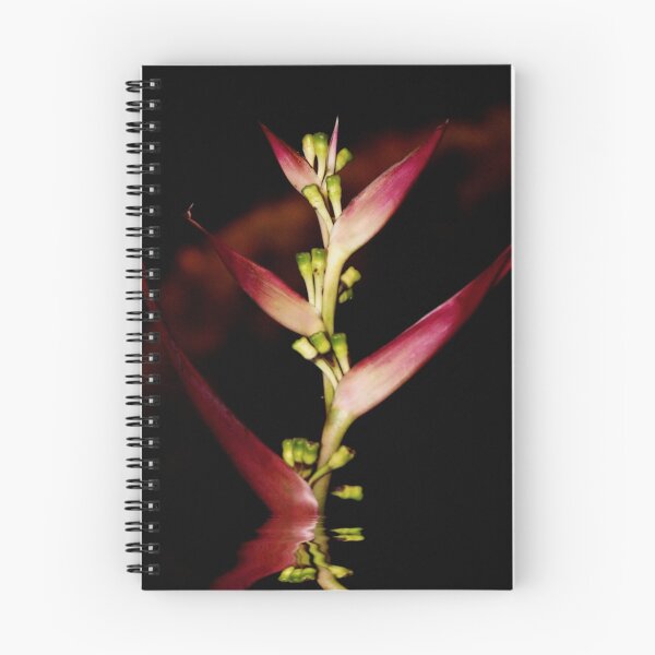 Item preview, seule fleur rouge designed and sold by solareclips~Julie  Alexander.