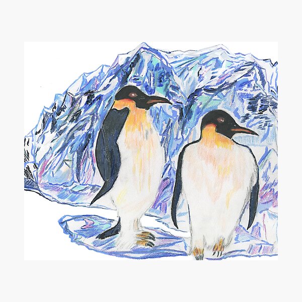 The Emperor Penguins On The Ice Photographic Print
