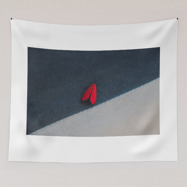 Item preview, Red Moth on A Crash Pad designed and sold by teslascender.